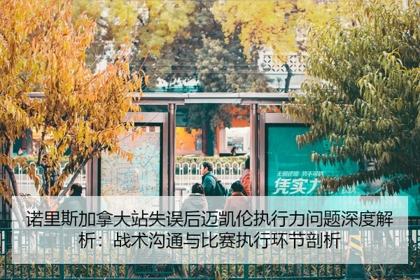 诺里斯加拿大站失误后迈凯伦执行力问题深度解析：战术沟通与比赛执行环节剖析