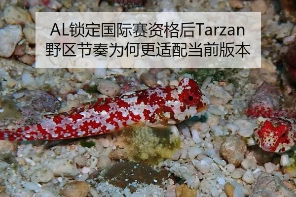 suo-ding-guo-ji-sai-zi-ge-hou-ye-qu-jie-zou-wei-he-geng-shi-pei-dang-qian-ban-ben-2-212.jpg
